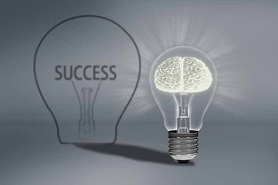 互聯網經濟下的網絡營銷新打法 杭州網絡公司的轉型與創新